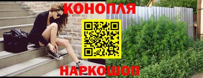 шишки Балашиха