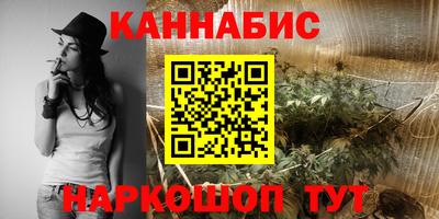 шишки Балашиха
