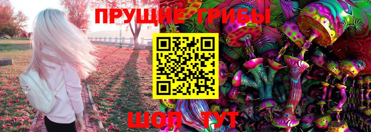 Псилоцибиновые грибы Psilocybe Десногорск